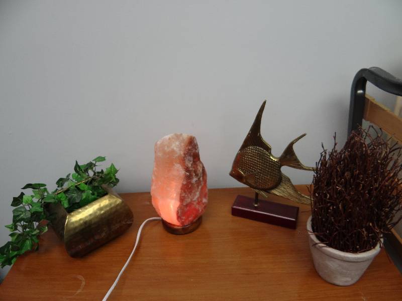 lot 2513 image: Lot of Decorative Table Top Lighting And Fish