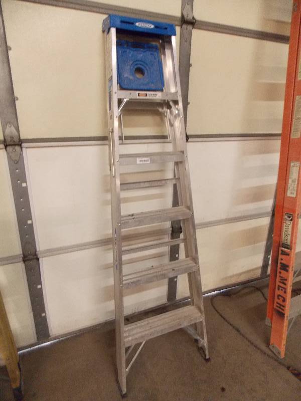 lot 178 image: Werner Ladder