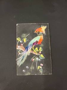 lot 5502 image: old feathered pic