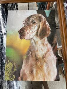 lot 8578 image: vintage 3D dog picture