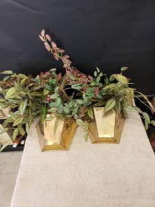 lot 9389 image: pair brass wall pockets wgreenery