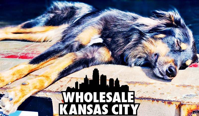 lot 1 image: Welcome to our Auction We Have Lots of Items Ready to Find a Home Please Read This Description as Our Terms Have Changed. Happy Scrolling