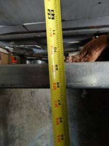 lot 1235 image: 68 Wide Shallow Stainless Well w Legs