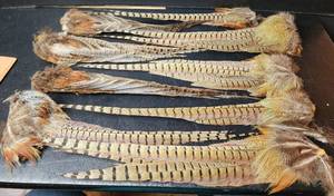 lot 239 image: Pheasant Tails (located in basement)
