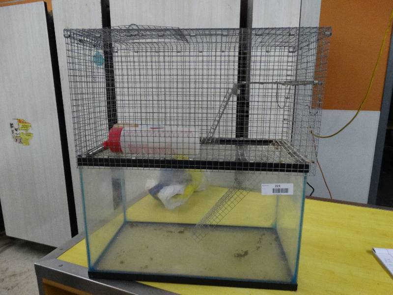 lot 223 image: Rat Cage WWater Bottle.