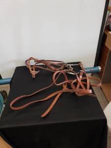 lot 8600 image: bridlereins