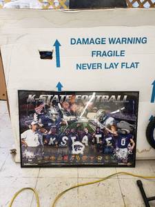 lot 8647 image: framed KSU pister