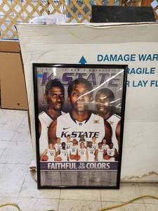 lot 8648 image: framed KSU pister