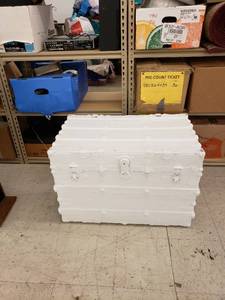 lot 8654 image: white trunk