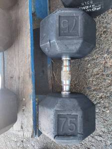 lot 5896 image: 1 Power Systems 80lb Weight