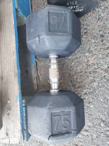 lot 5897 image: 1 Power Systems 75Ib Weight