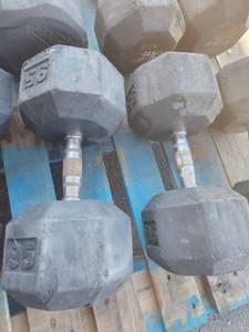 lot 39892 image: Lot of 2 Power Systems 95Ib Weights