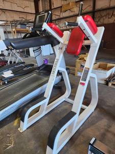 lot 39980 image: Precor V-Crunch Leg Lift
