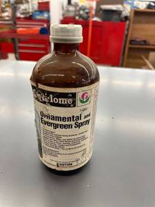lot 9407 image: evergreen spray full