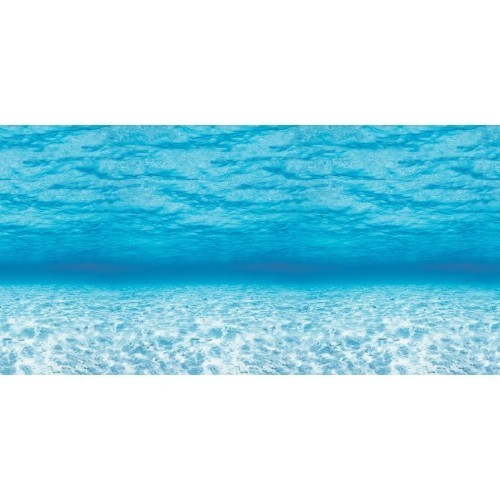 lot 6886 image: Fadeless�� Bulletin Board Art Paper 48���x12 Roll Under the Sea Design