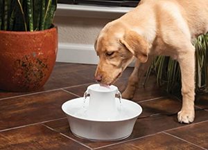 lot 7606 image: PetSafe Drinkwell Avalon Cat Water Fountain - Ceramic Water Fountain for Pets 70oz Capacity