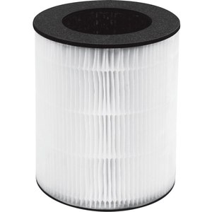 lot 7703 image: HoMedics TotalClean 3-in-1 HEPA-Type Filter Replacement for Air Purifiers, Works with HoMedics AP-T20 and AP-T20WT Air Purifiers, Removes up to 99% Airborne Particles as Small As 0.3 Microns (B07MVVR8CQ)