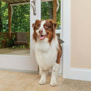 lot 6048 image: PetSafe Sliding Glass Pet Door 1 Piece Large - Up to 96 inches
