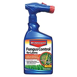 lot 7852 image: BioAdvanced 701270A Effective Fungicide with Disease Prevention Fungus Control for Lawns, 32-Ounce, Ready-to-Spray (B0035KNZJU)