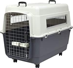 lot 2112 image: SportPet Design Large Plastic Kennel