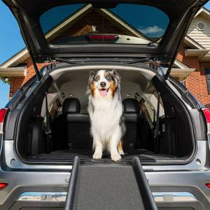 lot 3039 image: PetSafe Happy Ride Folding Dog Ramp - Black