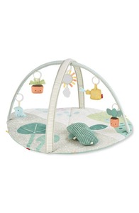 lot 3624 image: Skip Hop Garden Oasis Activity Gym in Multi at Nordstrom
