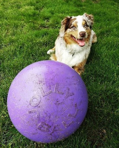 lot 4023 image: Push n Play, Purple, 10