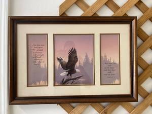 lot 8007 image: eagle picture