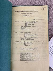 lot 44666 image: vintage child welfare booklet