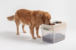 lot 1560 image: IRIS Large Elevated Feeder with Airtight Pet Food Storage Container