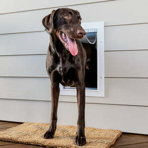 lot 2206 image: PetSafe Wall Entry Dog and Cat Door Telescoping Tunnel - Large