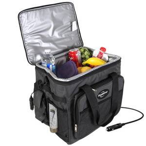 lot 7924 image: D25 Hybrid Portable 12V Cooler Bag with Shoulder Strap, 26 Quart