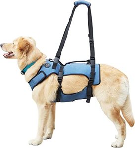 lot 6040 image: Coodeo Dog Lift Harness XL