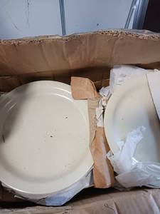 lot 5383 image: Case of Hard plastic Restaurant Dinner plates