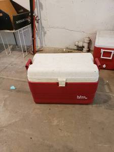 lot 8677 image: red Igloo cooler