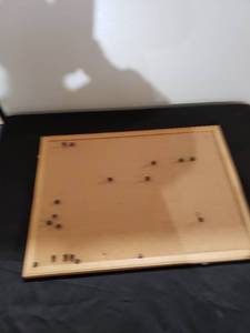 lot 8894 image: cork board