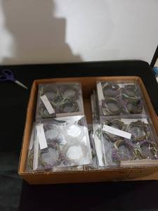 lot 8945 image: 20 sets of 4 mini wresths
