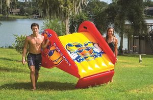 lot 1100191 image: WOW Sports Slide N Smile - Small