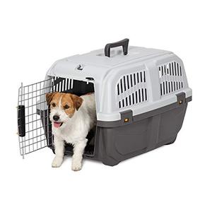 lot 1100247 image: MidWest Homes for Pets Skudo Plastic Carrier, 24-Inch Ideal for Small Dogs with an Adult Weight of 13 - 25 Pounds