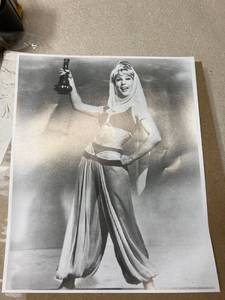 lot 1100289 image: Barbara Eden - I Dream of Jeannie Black and White Photo Print (8 x 10) - Item # DAP12202