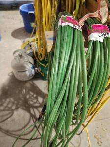 lot 29910 image: Metobo Air Hose 100ft