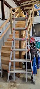 lot 10643 image: Little Giant Extension Ladder Model 10126