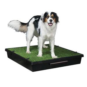 lot 4598 image: PetSafe Pet Loo Portable Dog Potty - Pet Toilet Alternative for Puppy Pads - Large - Perfect for House Training Retails $109
