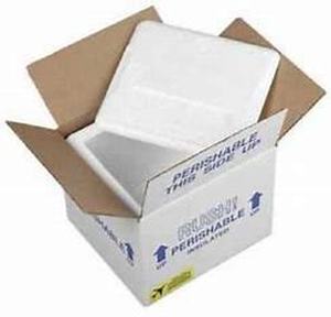 lot 33608 image: polar tech foam container set of 2