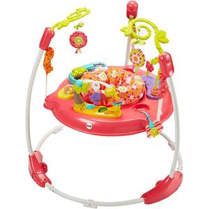 lot 7004 image: Fisher-Price Jumperoo Pink Petals (B016XS2O7O)