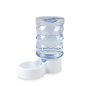 lot 12582 image: PetFusion H2O Gravity Pet Water Dispenser. Durable 2.5 Gallon Water Feeder. Automatic Water Station for Cats & Small, Medium, Large Dogs, Transparent (PF-GW1) (B089DNR2QS)
