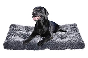 lot 12581 image: Amazon Basics 40 Pet Bed Gray