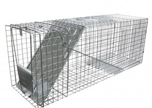 lot 12584 image: Havahart Steel Cage Trap