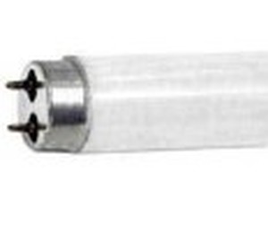 lot 12786 image: Damar Linear Fluorescent T8 Shape 5000K-90CRI 32 Watts 25 QTY