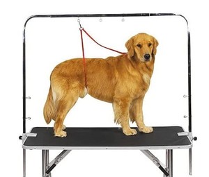 lot 2443 image: Master Equipment Overhead Grooming Arm 48 (table not included)